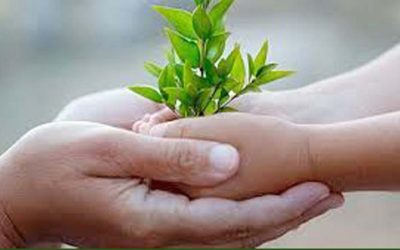 Stopping The Coming Ice Age by Larry Ephron & Andy Caffrey – YouTube