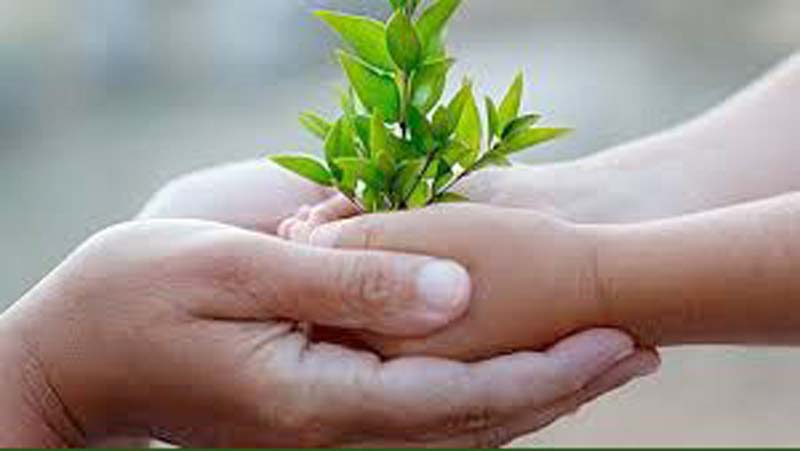 Sustainability