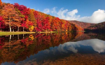 Officials Reject Gas Pipeline Route That Would Have Run Through National Forests | ThinkProgress