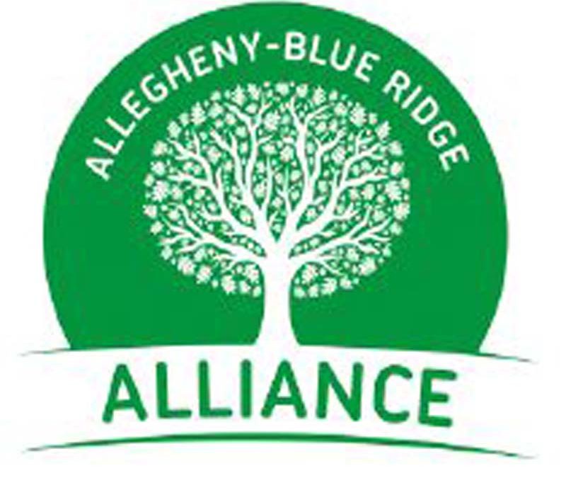 The Fight Against the Atlantic Coast Pipeline: A Chronicle