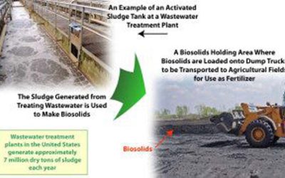 How the EPA Faked the Entire Science of Sewage Sludge Safety: A Whistleblower’s Story