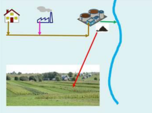 Sludge in our Waters: An Investigation of Industrial Contaminants in Sewage Sludge and the Impacts on Surface Waters in North Carolina