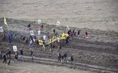 North Dakota Pipeline Protesters Arrested By Police With Pepper Spray