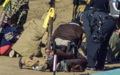 Guards for North Dakota pipeline could be charged for using dogs on activists
