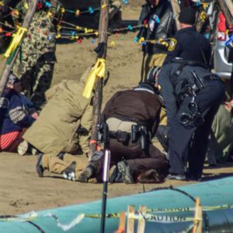 Guards for North Dakota pipeline could be charged for using dogs on activists