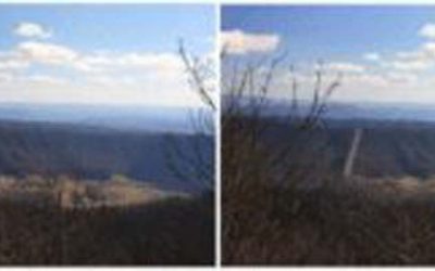 FERC’s Pipeline Impact Statement Full of Errors, say Environmental Groups