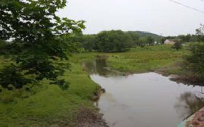 Growth of Biofuels Threatens PA Wildlife