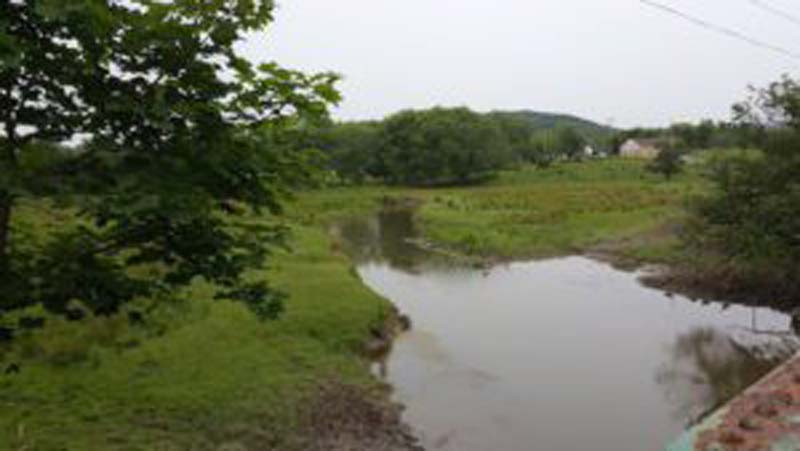December 16. 2016 Conversion of stream buffers to crop production has increased agricultural runoff, creating problems for wildlife and water quality. (JackTheVicar/Wikipedia)