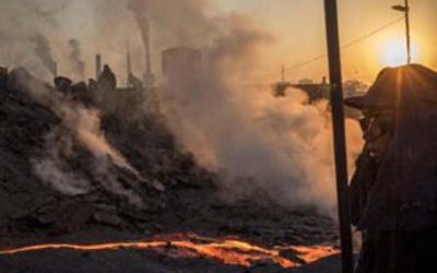 We Already Have A Solution To Climate Change, And It Doesn’t Rely On The Government