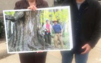 Va. climate protesters say Dominion gas pipeline requires ‘mountaintop removal’