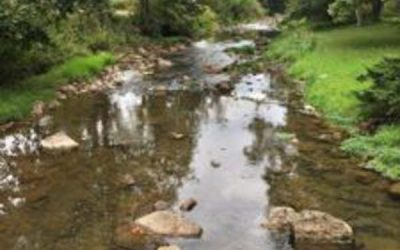 Group sues Virginia environmental agency over pipeline permitting