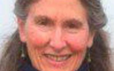 ‘Shut this madness down’