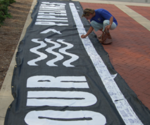 Hearing draws majority opposition