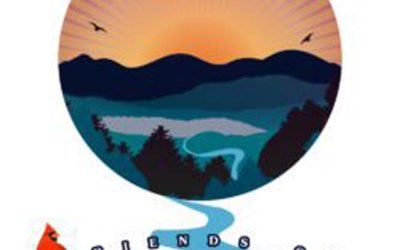 Summary of Buckingham Compressor Station Air Permit Public Comments made to DEQ