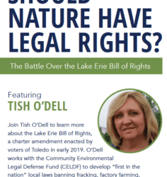 Should Nature Have Rights?