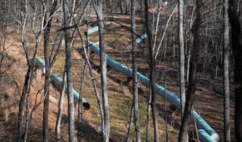 Mountain Valley Pipeline updates; Heroic Yellow Finch Tree Sits – more than 800 days