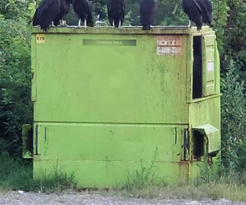 Urgent Request to Deny Green Ridge Landfill