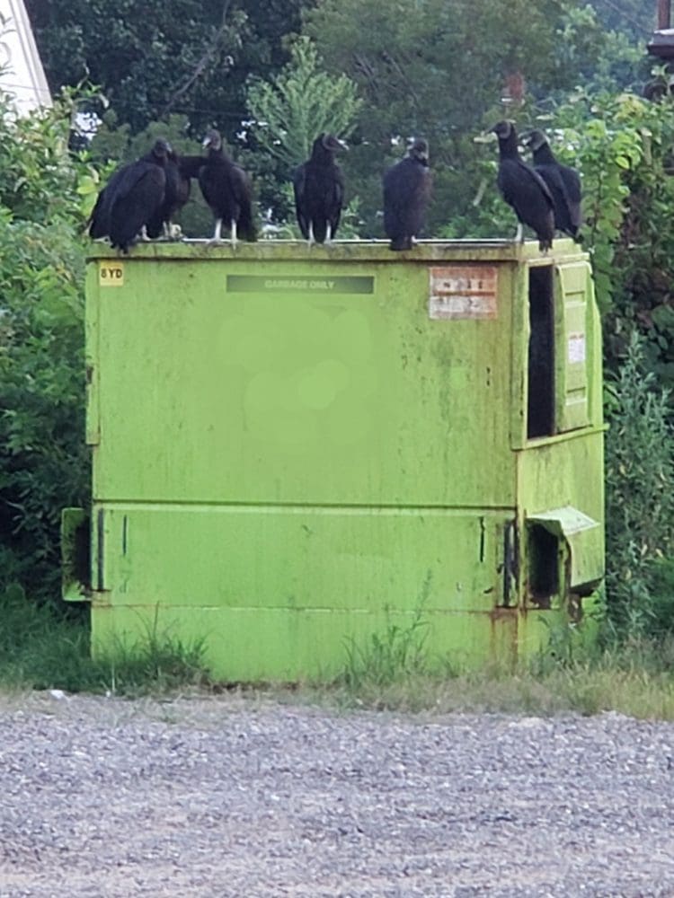 Urgent Request to Deny Green Ridge Landfill